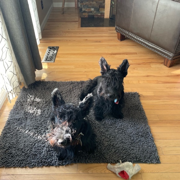 Meet your Posher, Kimberly - Picture 4 of 13